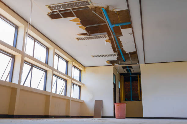 Best Local water damage restoration  in Conashaugh Lakes, PA