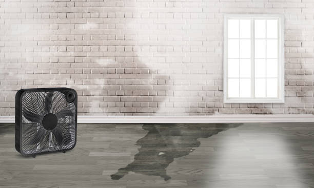 Best Water damage cleanup near me  in Conashaugh Lakes, PA