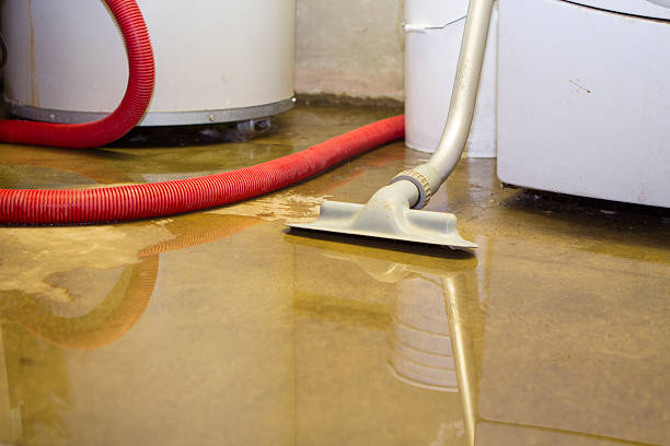 Best Flooded house restoration  in Conashaugh Lakes, PA